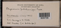 Image Associated With the Occurence